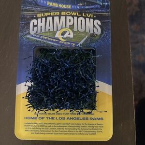 Los Angeles rams Super Bowl LVI Champions Turf